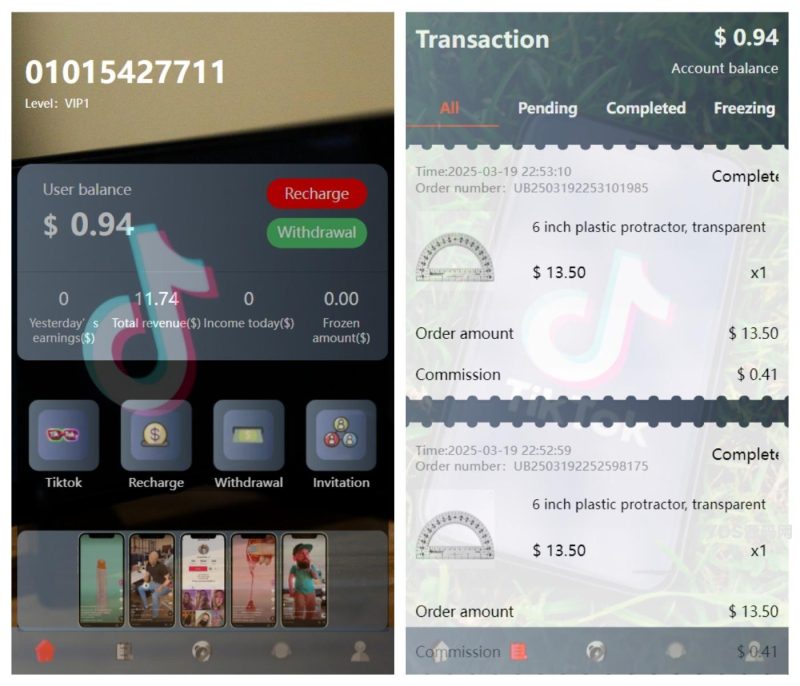 新版本海外tiktok多语言抢单系统源码/带文本搭建教程-深夜源码网